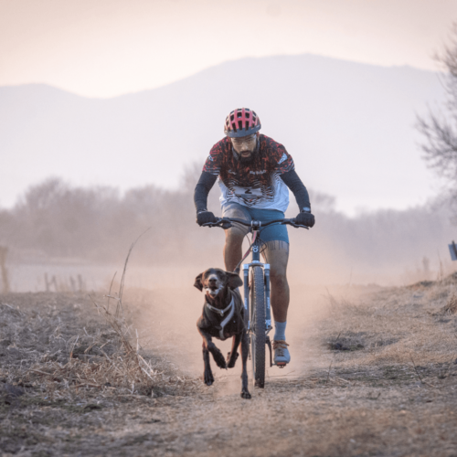 Línea de Tiro Bikejoring - Scooter