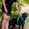 Cinto C-TREK