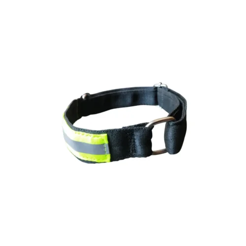 Collar Fire