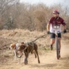 Línea de Tiro Bikejoring - Scooter Doble