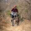 Línea de Tiro Bikejoring - Scooter Doble