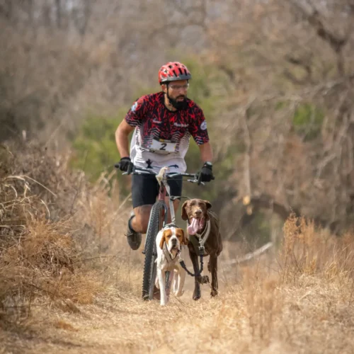 Línea de Tiro Bikejoring - Scooter Doble